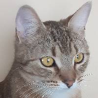BzeroB